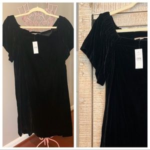 LOFT - velvet LBD NWT
